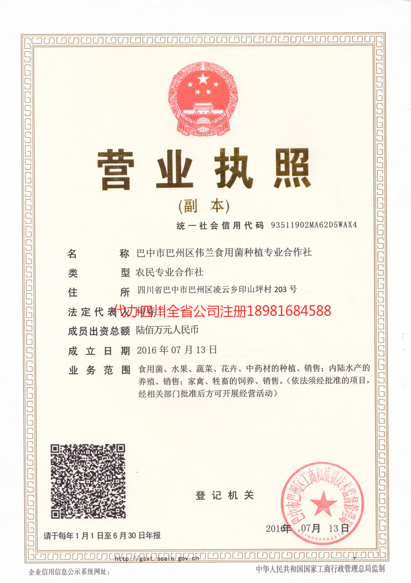 乐至乐至伟兰食用菌种植专业合作社